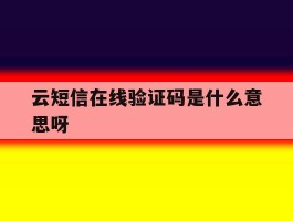 云短信在线验证码是什么意思呀