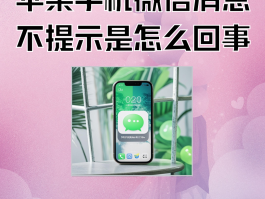 关于短信验证接收不到信息怎么回事儿呀苹果手机的信息