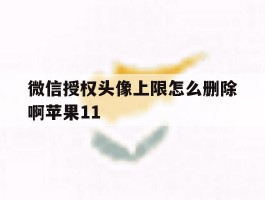 包含微信授权头像上限怎么删除啊苹果11的词条