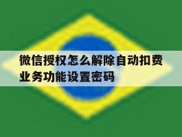 微信授权怎么解除自动扣费业务功能设置密码的简单介绍