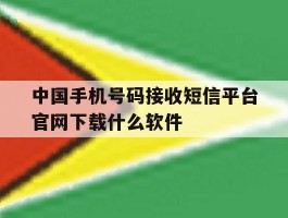 中国手机号码接收短信平台官网下载什么软件