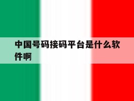 中国号码接码平台是什么软件啊的简单介绍