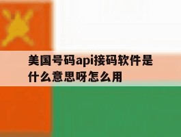 美国号码api接码软件是什么意思呀怎么用的简单介绍