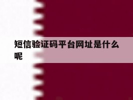 短信验证码平台网址是什么呢