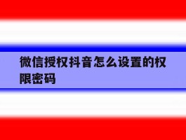 微信授权抖音怎么设置的权限密码