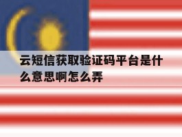 云短信获取验证码平台是什么意思啊怎么弄