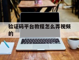 验证码平台教程怎么弄视频的