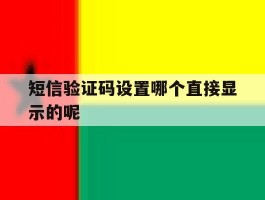 短信验证码设置哪个直接显示的呢