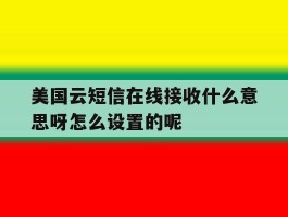 包含美国云短信在线接收什么意思呀怎么设置的呢的词条