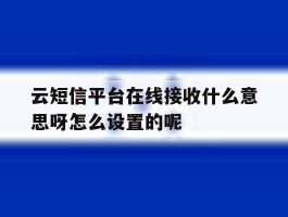 云短信平台在线接收什么意思呀怎么设置的呢的简单介绍