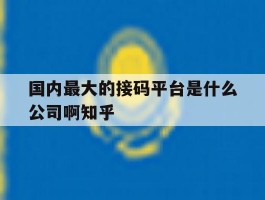 国内最大的接码平台是什么公司啊知乎的简单介绍