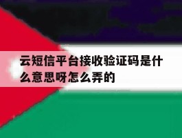 云短信平台接收验证码是什么意思呀怎么弄的