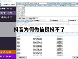 抖音为何微信授权不了