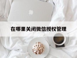 在哪里关闭微信授权管理