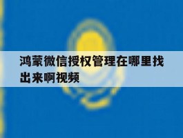 鸿蒙微信授权管理在哪里找出来啊视频