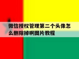 微信授权管理第二个头像怎么删除掉啊图片教程的简单介绍