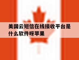 美国云短信在线接收平台是什么软件呀苹果
