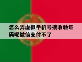 怎么弄虚拟手机号接收验证码呢微信支付不了