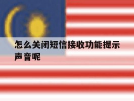 怎么关闭短信接收功能提示声音呢
