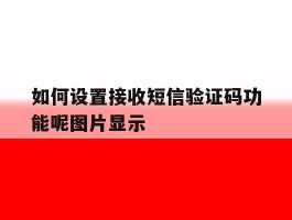 如何设置接收短信验证码功能呢图片显示