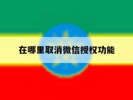 在哪里取消微信授权功能