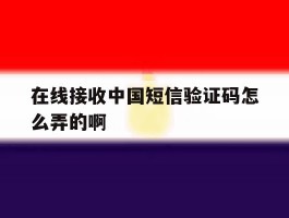 在线接收中国短信验证码怎么弄的啊