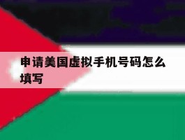 申请美国虚拟手机号码怎么填写