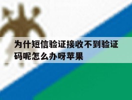 为什短信验证接收不到验证码呢怎么办呀苹果