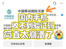 海外手机号短信接收验证码收不到怎么办呢视频的简单介绍