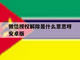 微信授权解除是什么意思呀安卓版