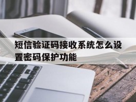 短信验证码接收系统怎么设置密码保护功能