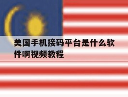 美国手机接码平台是什么软件啊视频教程