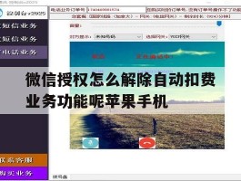 包含微信授权怎么解除自动扣费业务功能呢苹果手机的词条