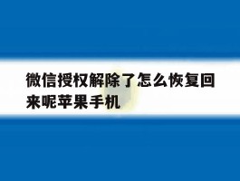 微信授权解除了怎么恢复回来呢苹果手机的简单介绍