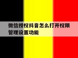 微信授权抖音怎么打开权限管理设置功能