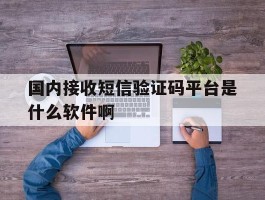 国内接收短信验证码平台是什么软件啊
