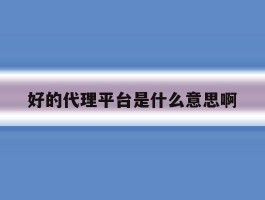 好的代理平台是什么意思啊