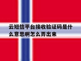 包含云短信平台接收验证码是什么意思啊怎么弄出来的词条