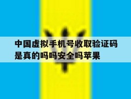 中国虚拟手机号收取验证码是真的吗吗安全吗苹果的简单介绍