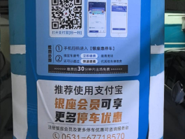 接码付费平台有哪些公司可以用