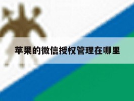 苹果的微信授权管理在哪里
