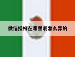 微信授权在哪里啊怎么弄的