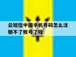包含云短信中国手机号码怎么注销不了账号了呀的词条