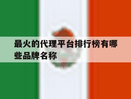 最火的代理平台排行榜有哪些品牌名称的简单介绍