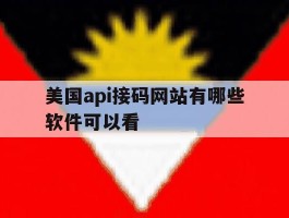 美国api接码网站有哪些软件可以看