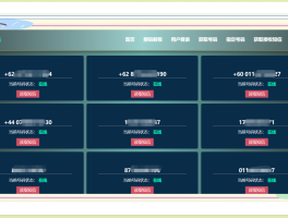 接码具体是做什么工作的呢视频