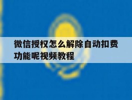 微信授权怎么解除自动扣费功能呢视频教程