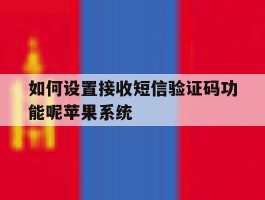 如何设置接收短信验证码功能呢苹果系统