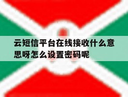 云短信平台在线接收什么意思呀怎么设置密码呢的简单介绍