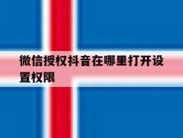 微信授权抖音在哪里打开设置权限